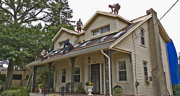 Best Metal Roofing Contractor  in Folly Beach, SC
